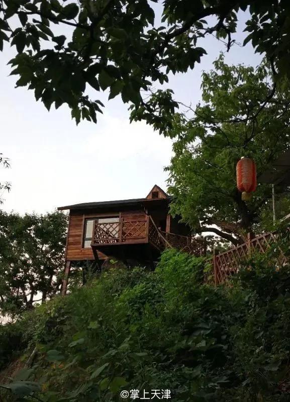 蓟州玩水垂钓农家院,蓟州区适合带孩子玩的农家院