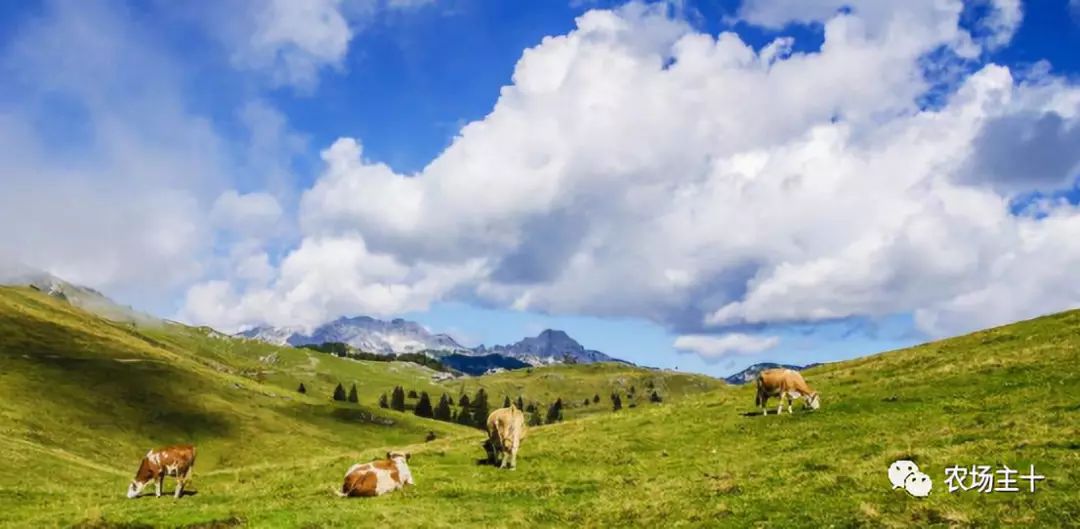 马云耕地亩产多少,马云谈现代农业