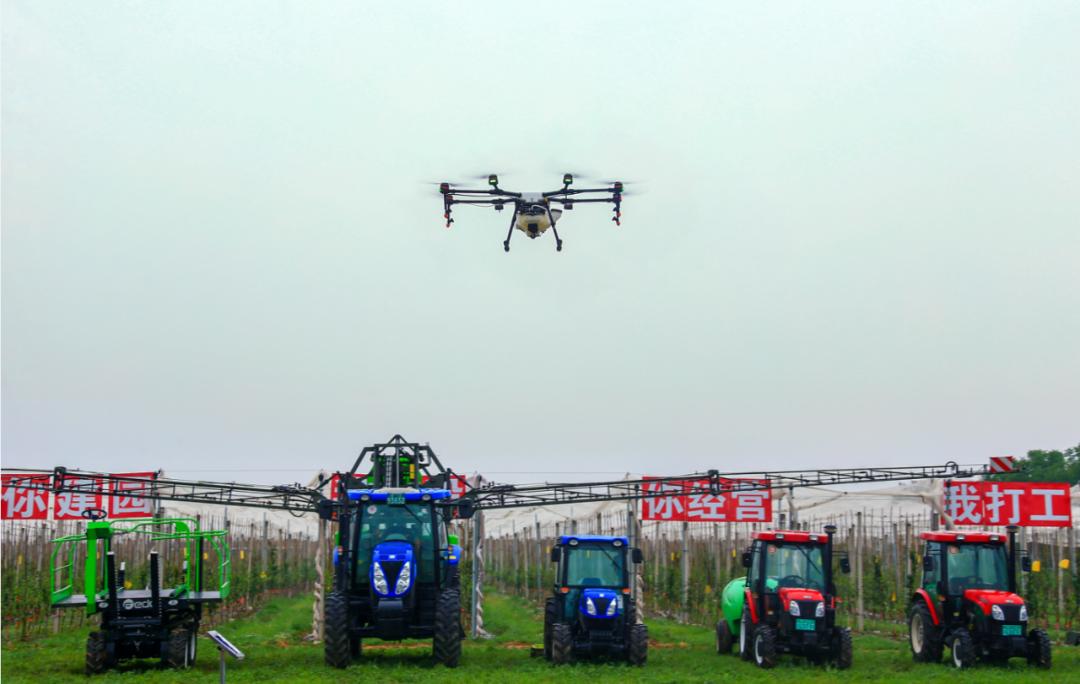 苹果快速分选,苹果分拣机的分拣流程图