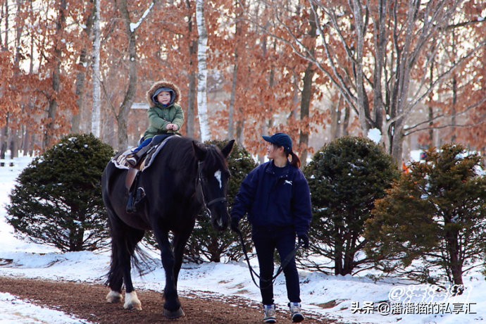 雪国和冰雪,雪国旅游