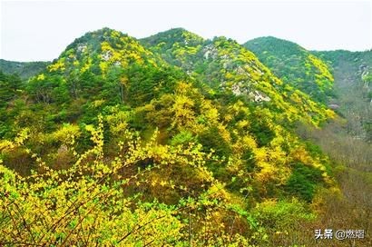 济南春天去哪赏花,济南春天赏花的好去处