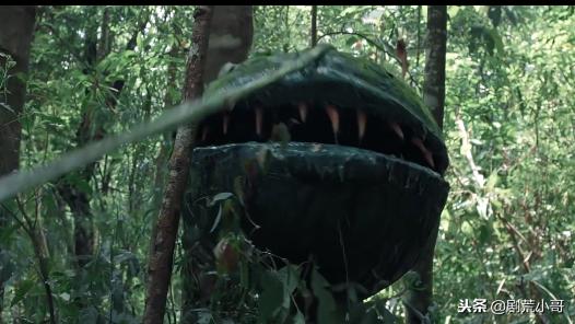 国产狂蟒之灾一口气看完,国产狂蟒之灾好看不