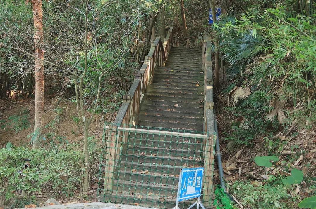 在动物园散步才是正经事|暴走福州