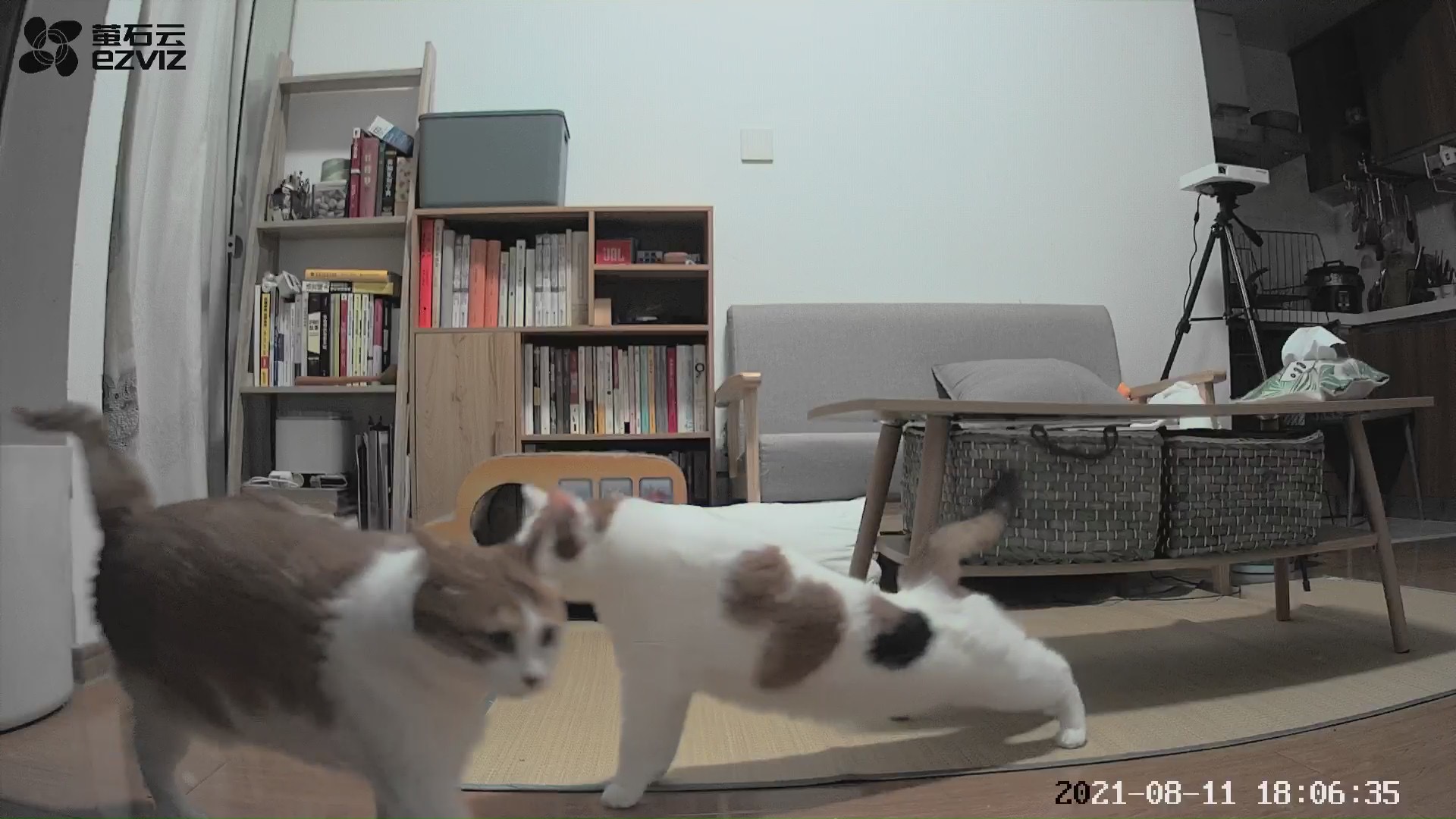 萤石智能家居摄像机人形侦测,萤石智能家居摄像机有死角吗