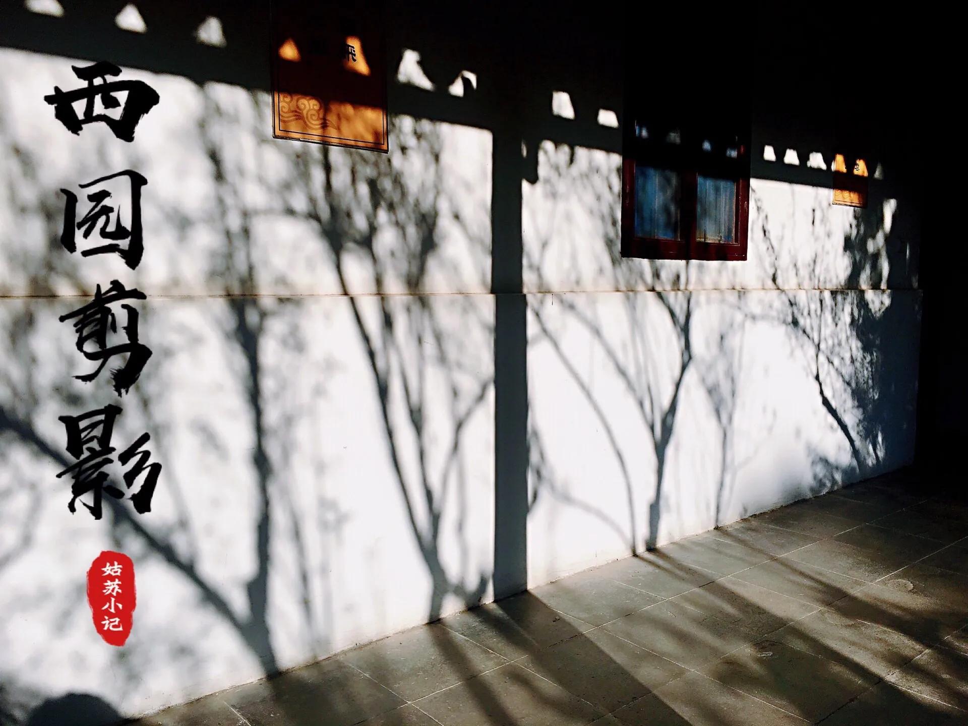 苏州的西园寺好还是虎丘塔好,苏州西园寺距离哪个景点近