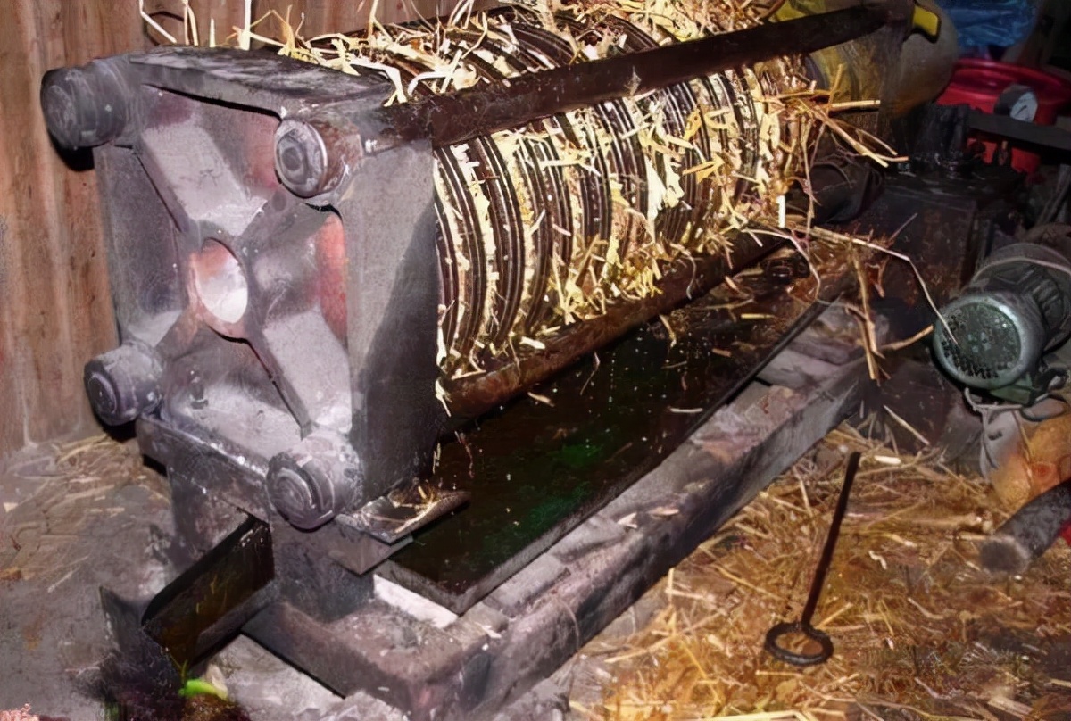 山茶油卖500元一斤,野生山茶油哪里最便宜