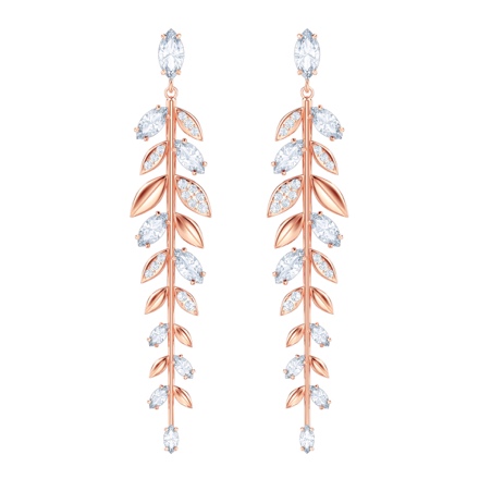 郑恺施华洛世奇,上海白玉兰盛典郑恺