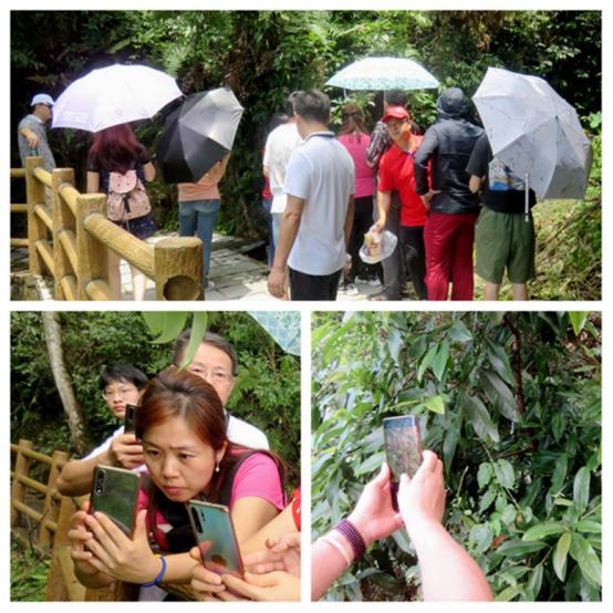 榫欒剨姊敯鏀荤暐鍙嶆淳,榫欒剨姊敯鎬紓