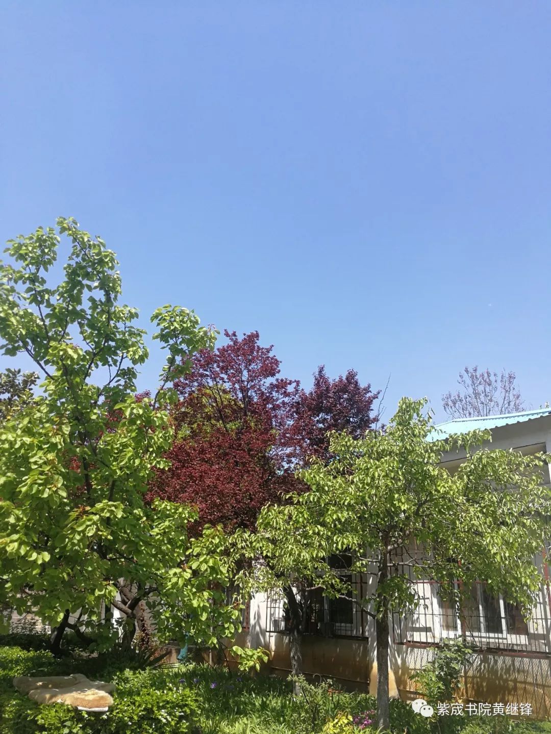 徐州三十六中图文,徐州三十六中