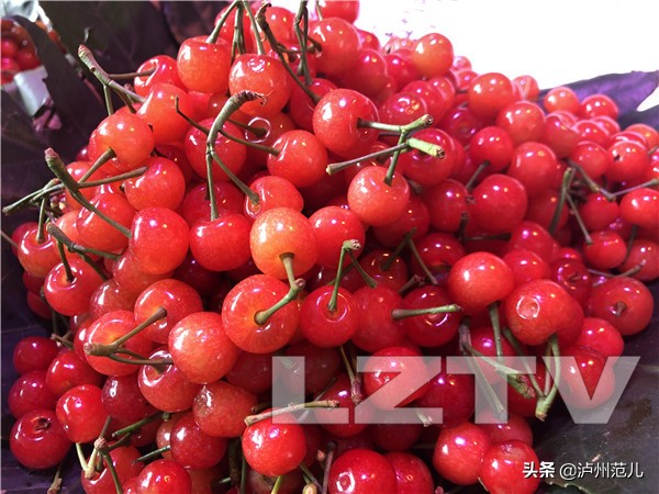泸州樱桃团购,江门新鲜樱桃多少钱一斤