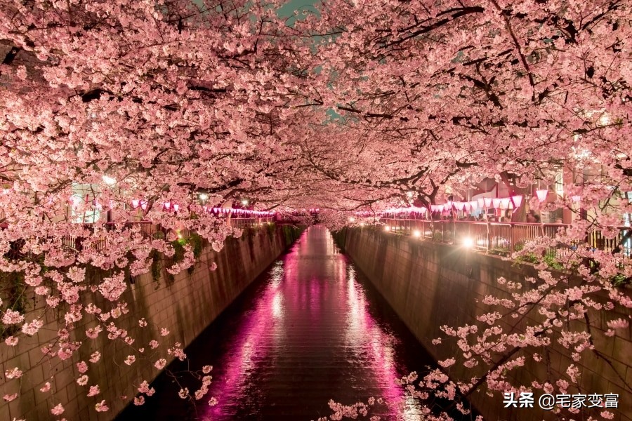 你知道日本人生活的省钱艺术吗，快来看看，能改变你的消费习惯