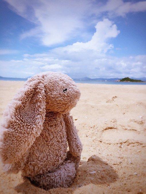 带你踏上三亚之旅,跟着我的脚步去旅行歌曲