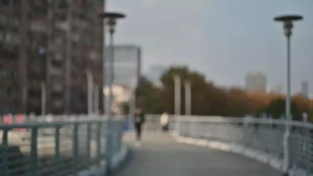 适马85mmf1.4art与蔡司55mmf1.8,适马501.4art与适马501.4