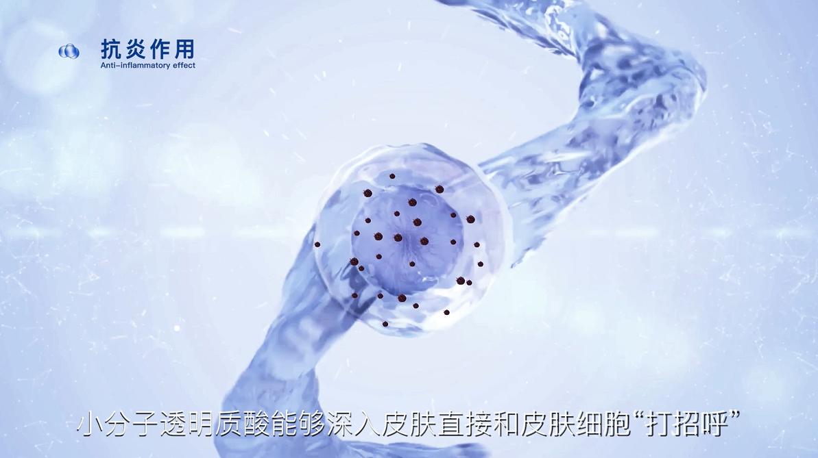 宠物玻尿酸,双分子玻尿酸宠物