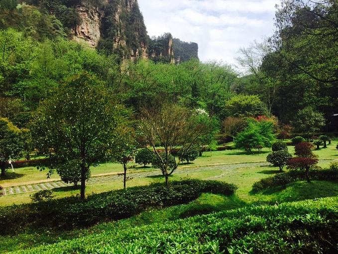 张家界旅拍攻略_张家界婚纱摄影好地方