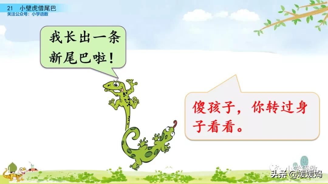 一年级小壁虎借尾巴原文图片,小壁虎借尾巴优质课一等奖