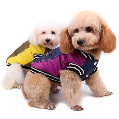 自己做宠物衣服入门教程,如何给小宠物自制小衣服