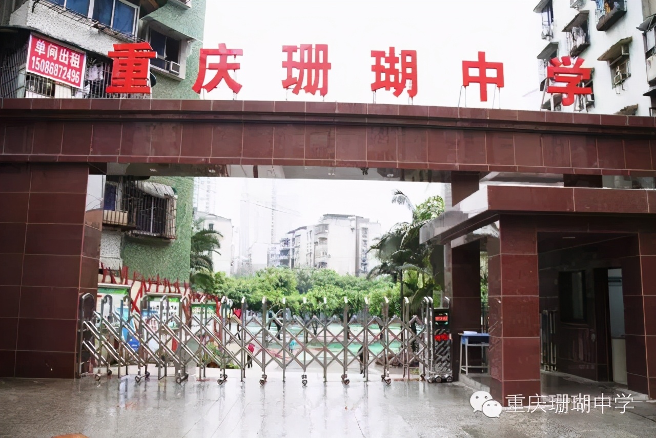 小升初择校精选200题,小升初统招分招