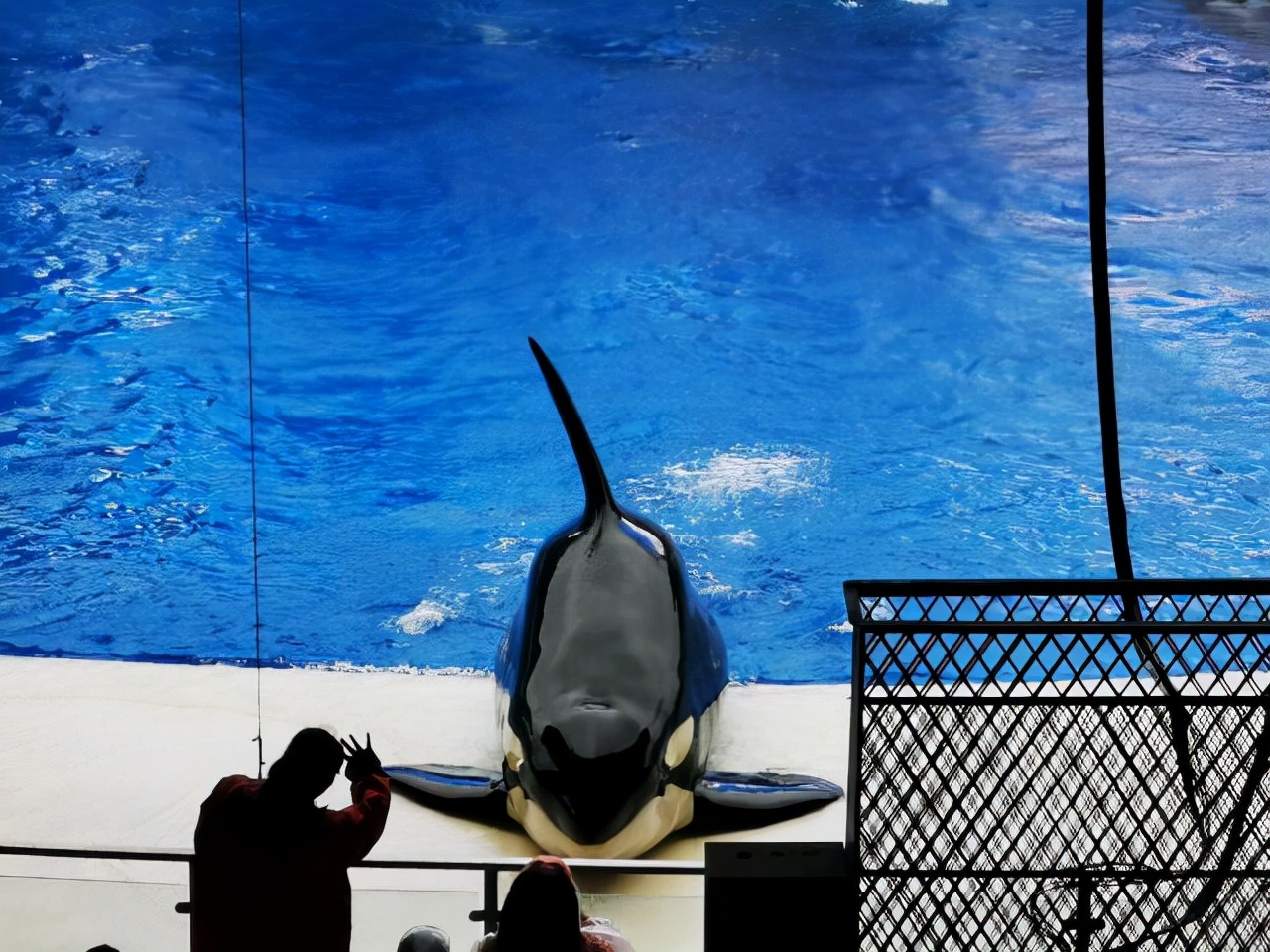 上海十个值得去的地方,上海最值得去的十大地方不花钱