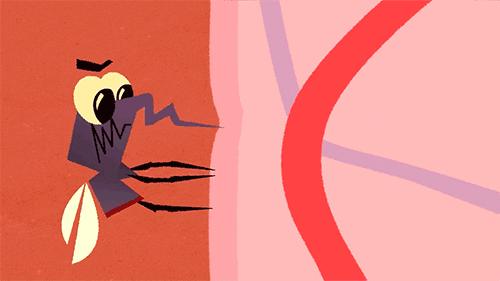 被蚊叮后应该怎么做,被毒蚊子叮有什么症状