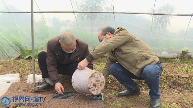 农资“一站式”到家！疫情下的春耕，他们还有哪些好办法？