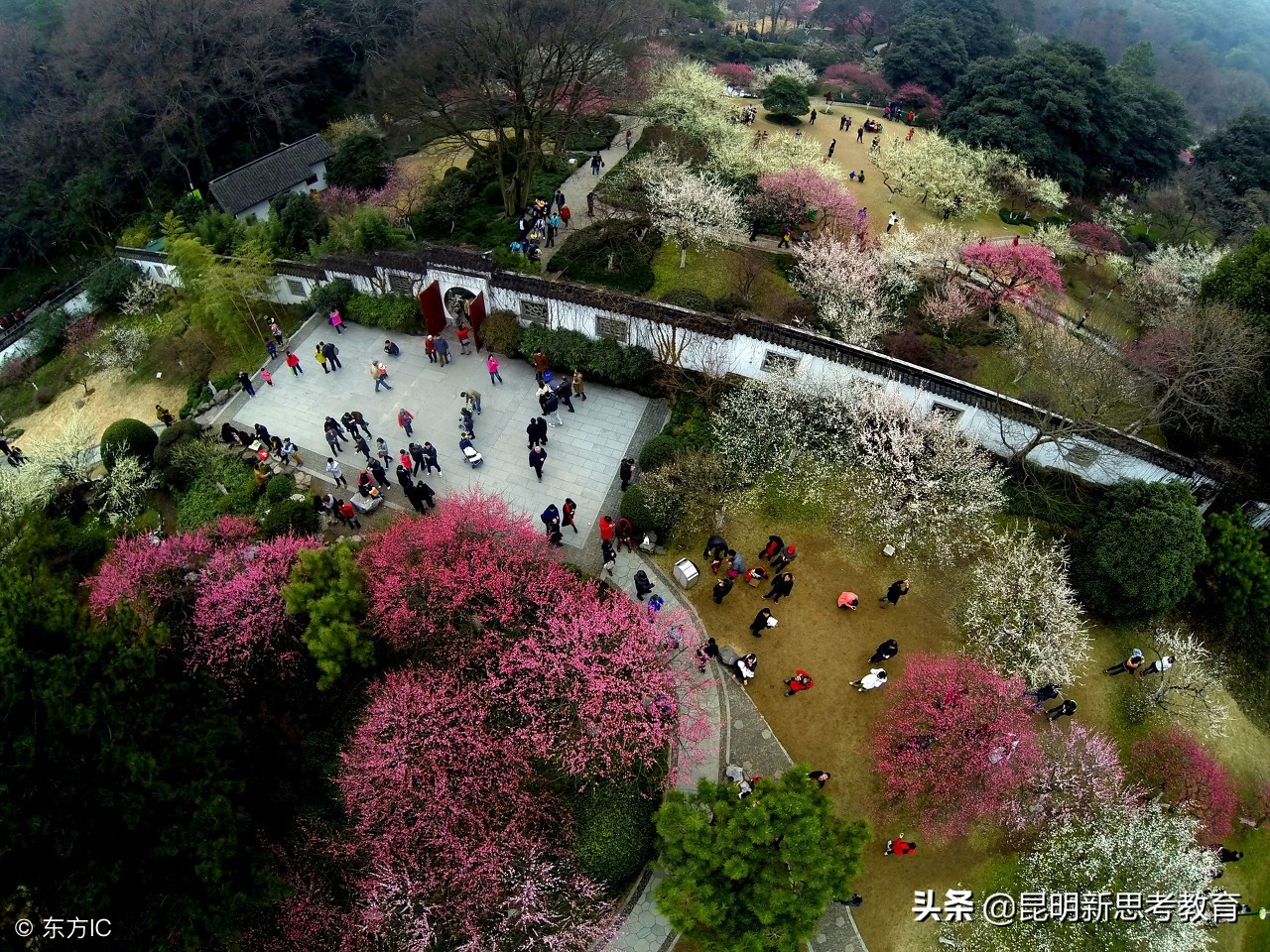 昆明小升初文学常识,昆明小升初语文必考题