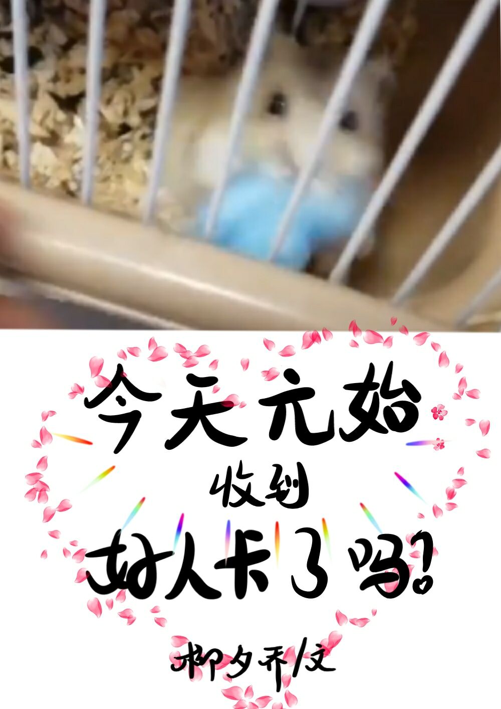 设定超好玩的《今天的原始收到好人卡了吗》，我全程哈哈哈哈~