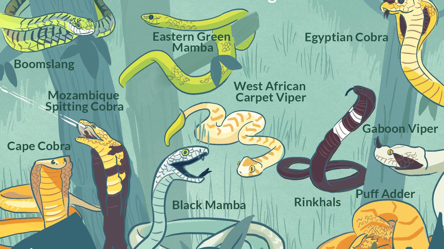 世界最危险的6份工作,世界上最危险的工作一千几百万