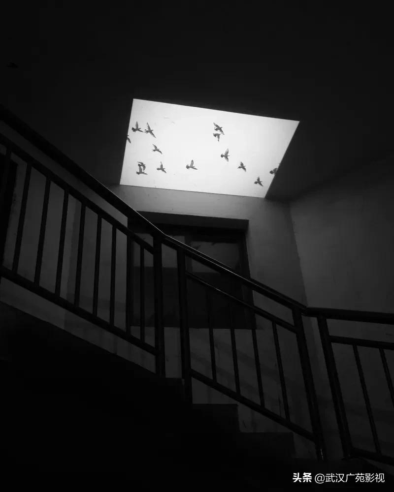 黑白摄影的魅力教案,黑白摄影的特殊魅力美术鉴赏