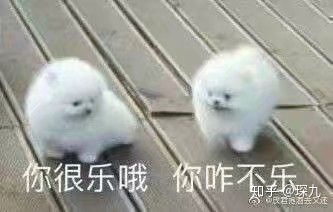 又短又能让人笑窒息的笑话,有什么可以让人笑抽的笑话