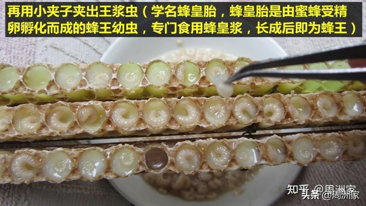 粘稠的蜂王浆是不是真正的蜂王浆,怎么辨别蜂王浆的正确吃法