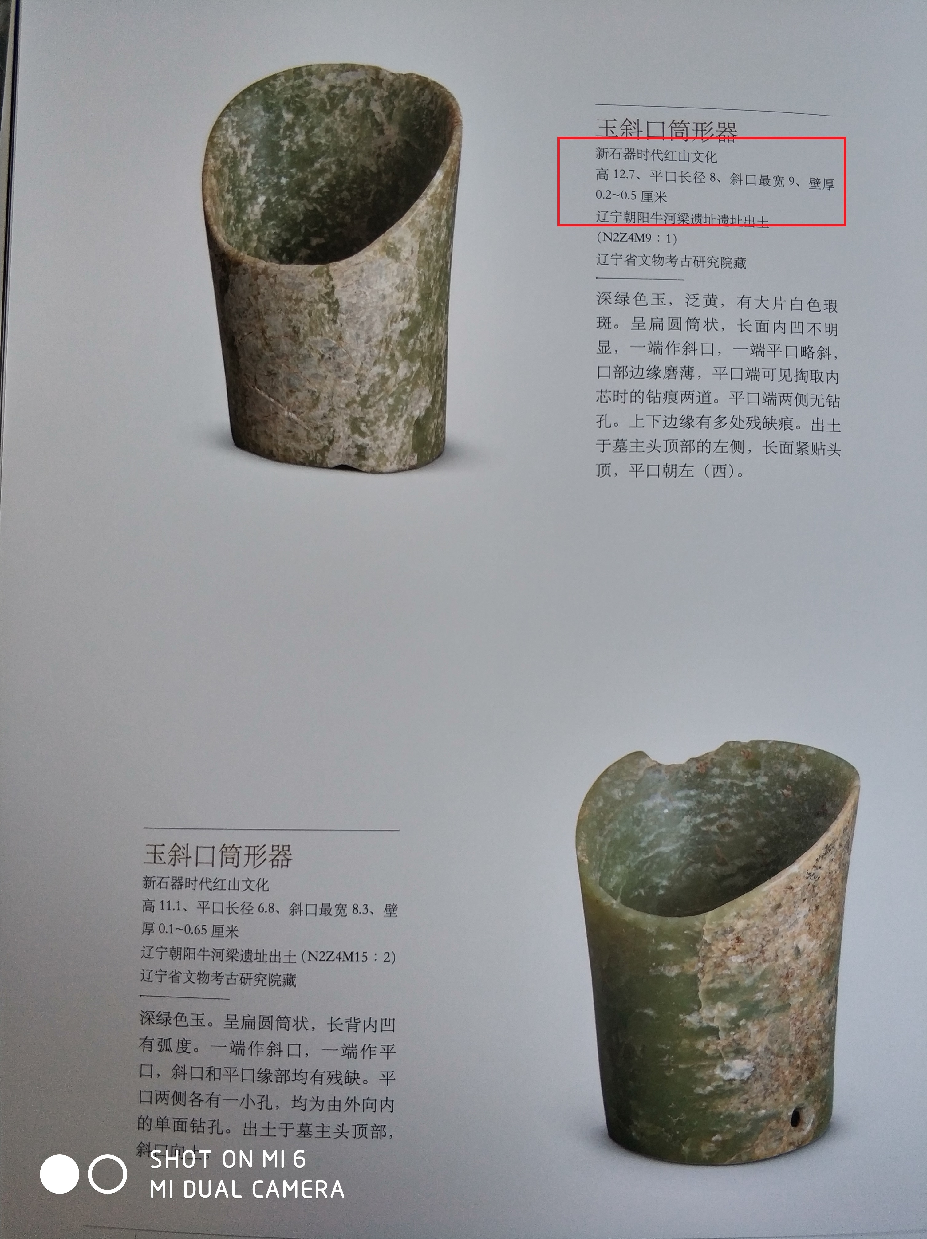 中国龙原型,中国龙的原型是什么