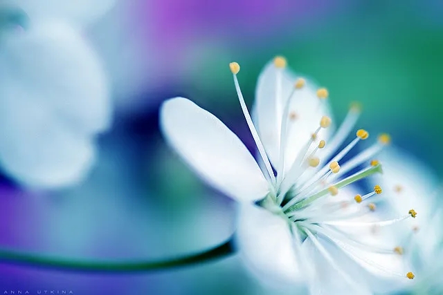 写给不懂事的人的话,老实人沉默不说话不要认为好欺负