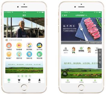 互联网畜牧业新模式,互联网颠覆传统农业和畜牧业