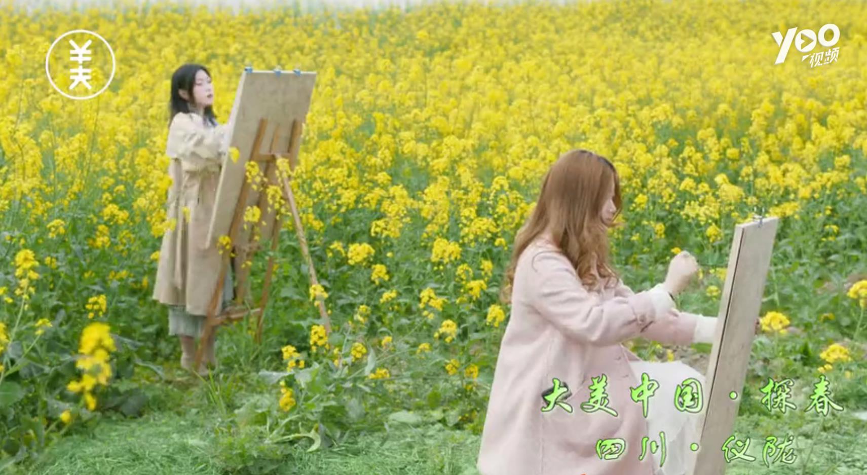 仪陇县新闻联播,仪陇县新闻联播视频