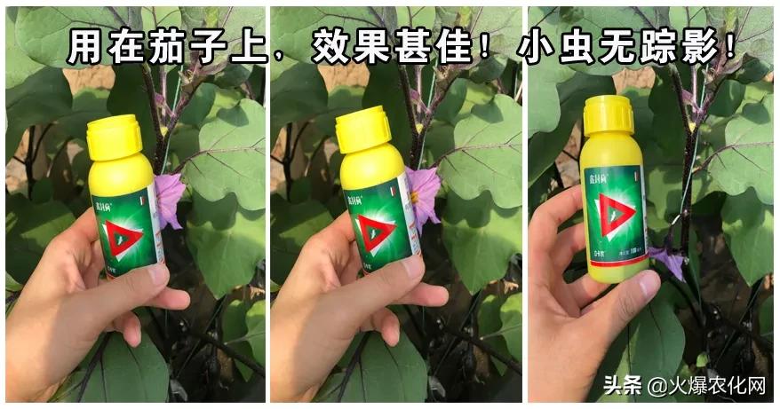 蓟马专用杀虫卵剂,除虫灭蚊大杀器