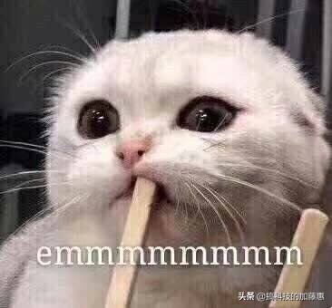 动态壁纸美化,壁纸美化桌面