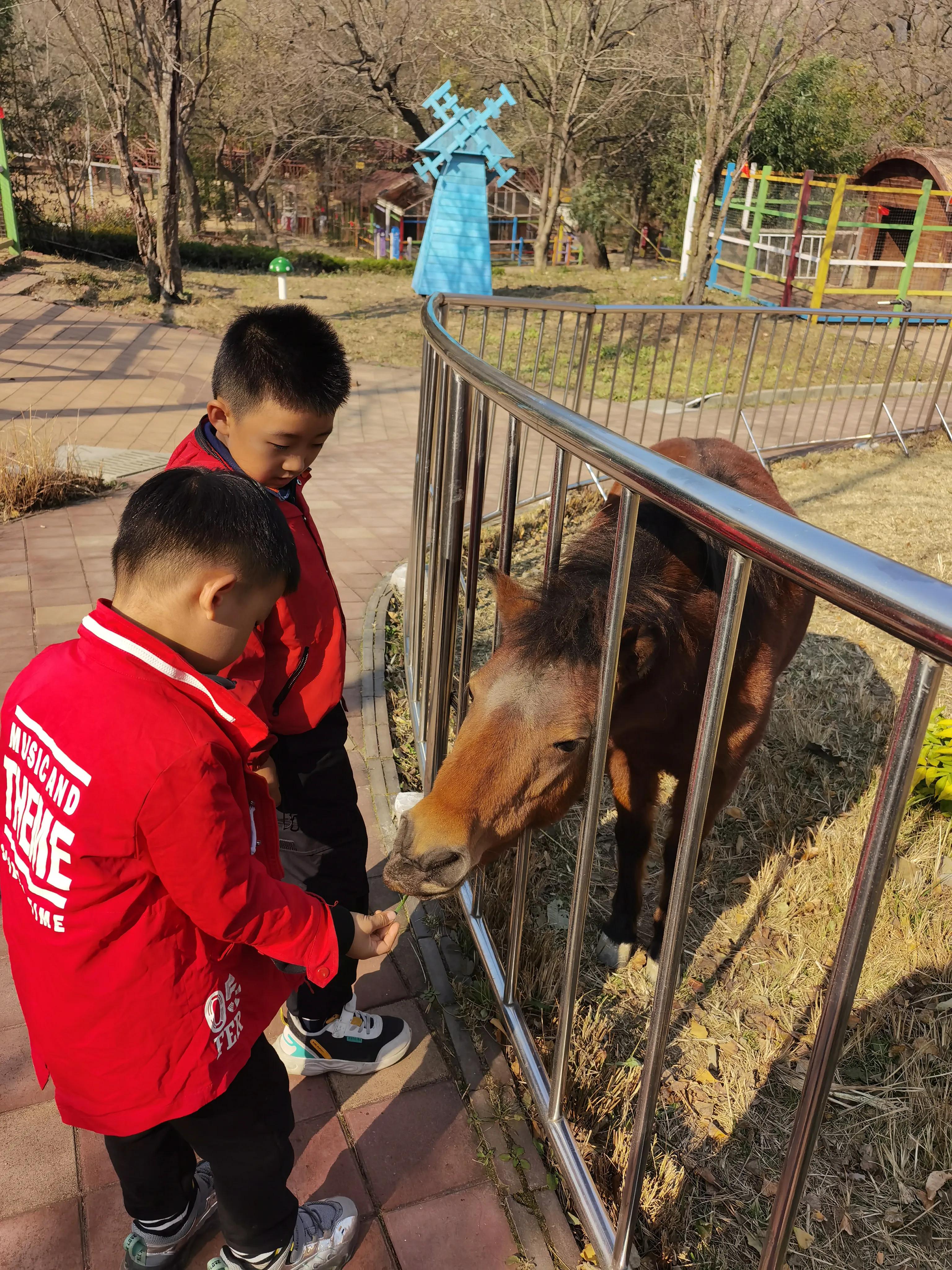 青岛美景黄岛篇：两天一晚旅游度假绝对值得推荐