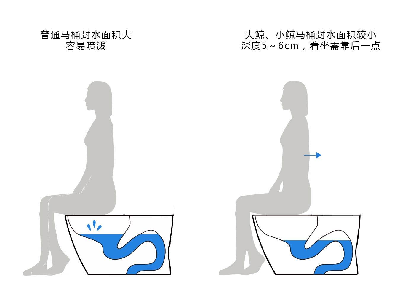 保卫菊花，从马桶做起——水鹿大鲸一体自动马桶使用感受