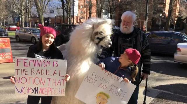 鐤儏鏈熼棿缇庡浗缃戠孩,鏂板啝鐤儏缇庡浗缃戠孩