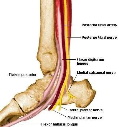跑步者如何锻炼膝盖,跑步运动员如何力量训练
