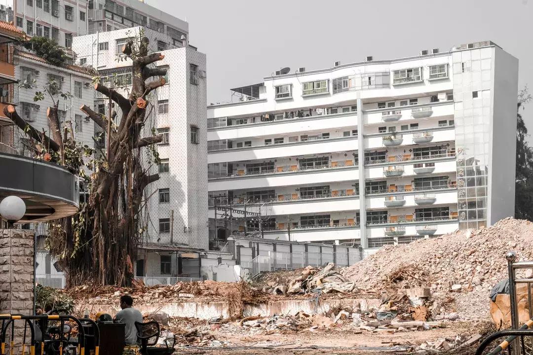 白石洲城中,白石洲的海边