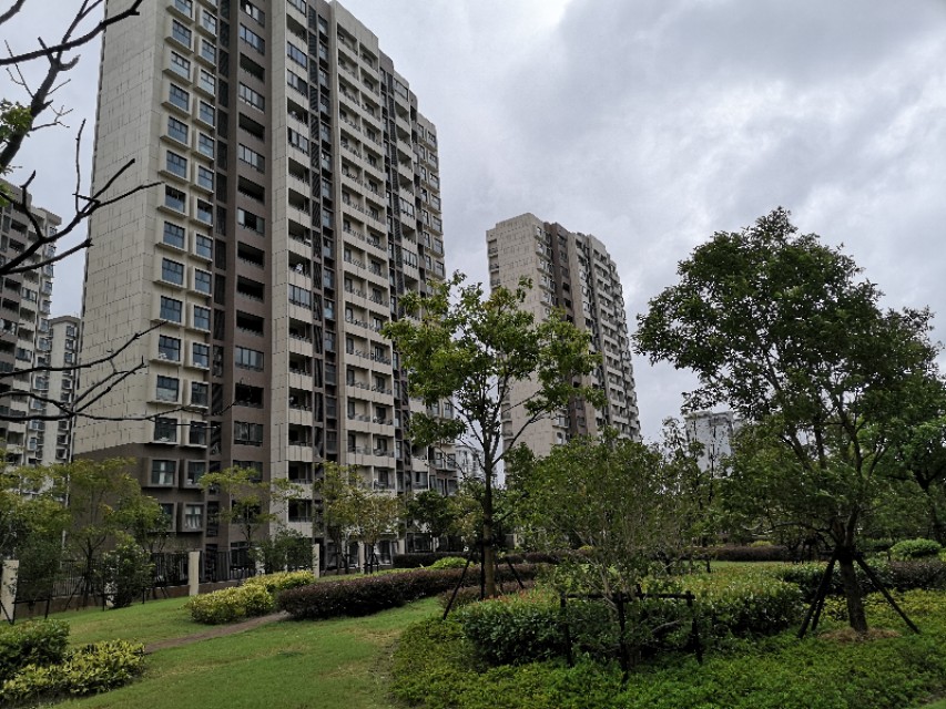 上海临港新片区万祥东来建设,临港新片区万祥