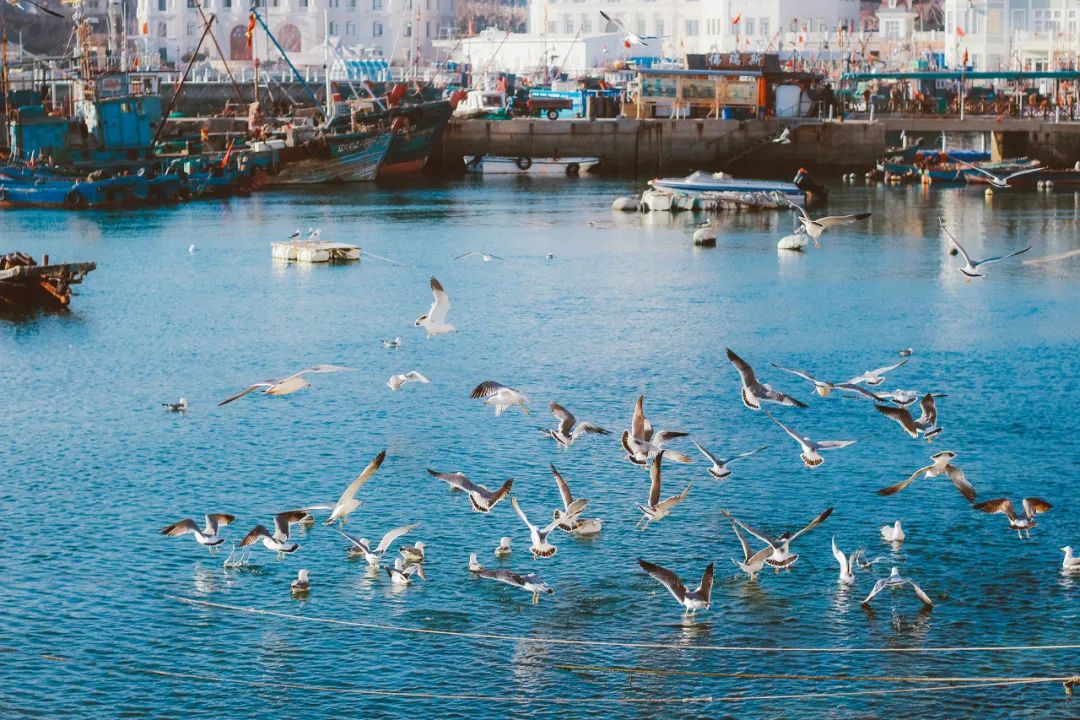 美过三亚！比厦门浪漫！中国这座海滨老城，去一次相当于环游世界