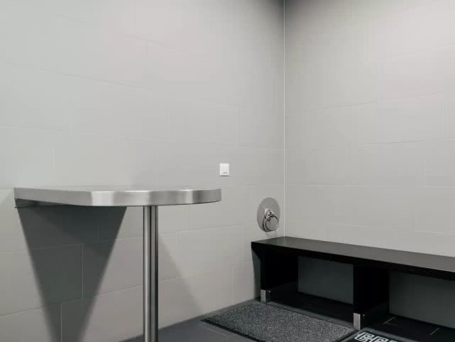 瑞士这个国家安全吗,瑞士国家安全靠什么来保障