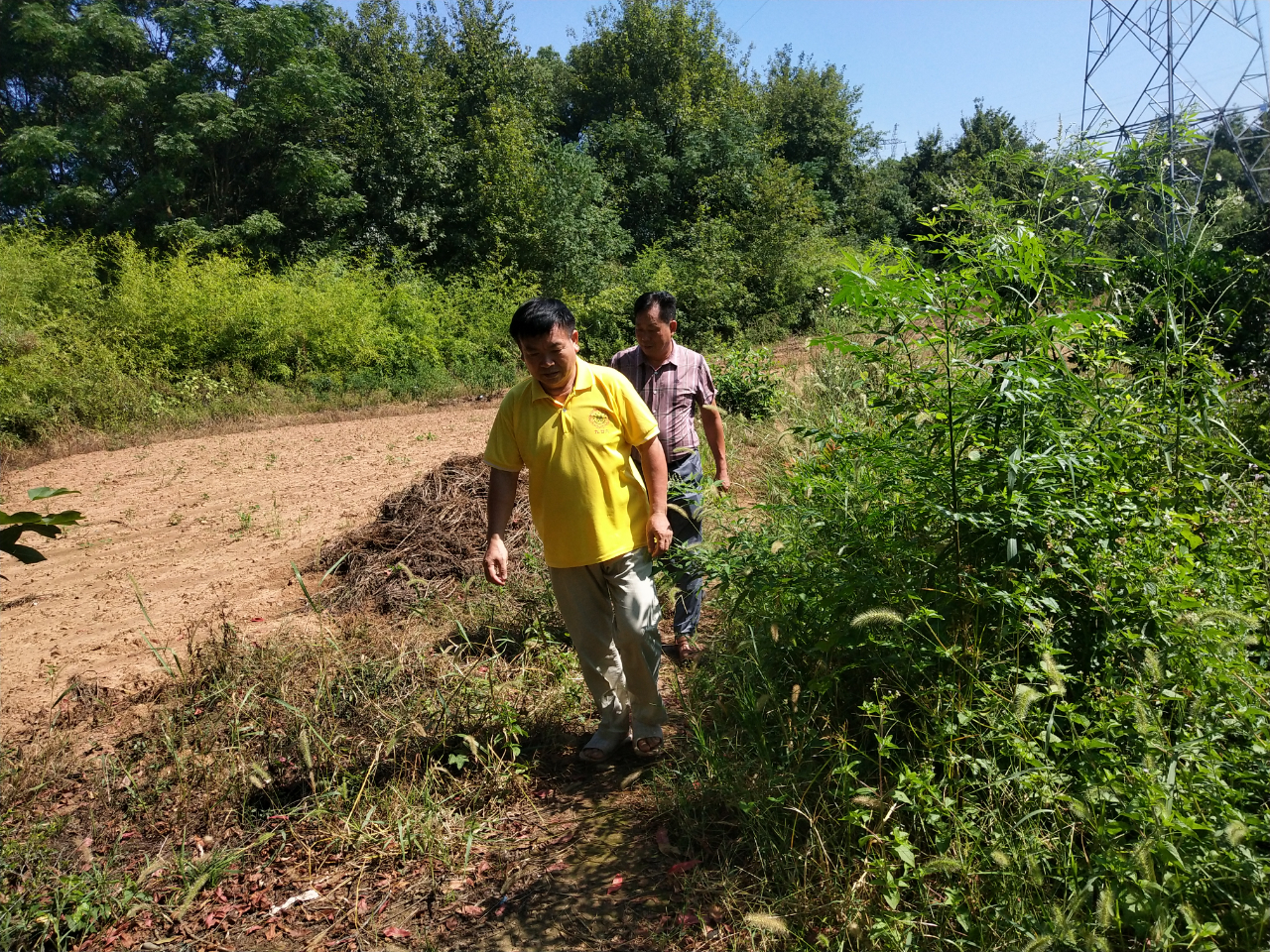 洮阳古城在哪里,洮阳城遗址
