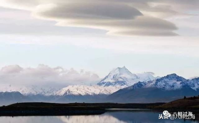 引入活青口贝、鲜帝王鲑,新西兰海产出口商的新生力量!