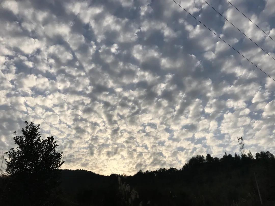 讲个笑话，我29岁了，但还是每一次离家都会哭