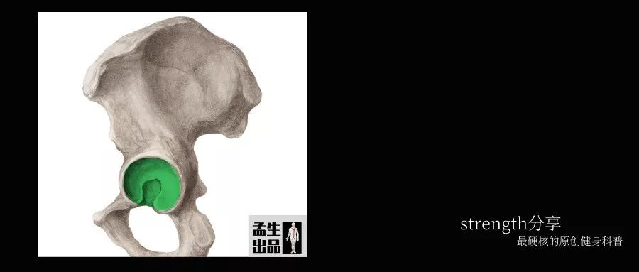 盂与臼——关节盂与关节臼的汉字渊源