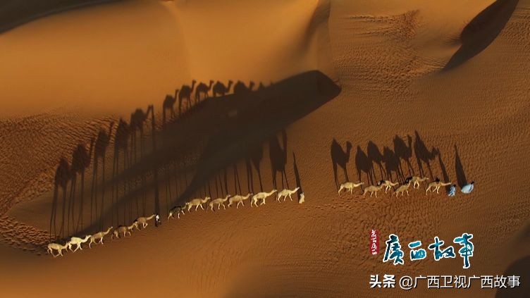 马来西亚电视台女主持人为何爱“淘宝”？原来和这座城市有关